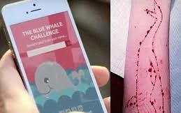 'Thử thách Cá voi xanh' dẫn người chơi đến cái chết khủng khiếp?