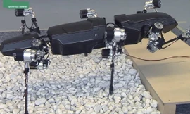 Đại học Mỹ chế tạo robot bắt chước gián
