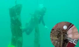 Nuôi trai lấy ngọc trên vịnh Vân Phong