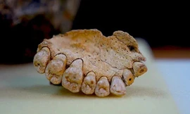 Phát hiện hóa thạch người hiện đại lâu đời nhất ngoài châu Phi