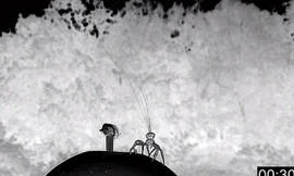 Phát hiện khả năng kinh dị mới của loài nhện