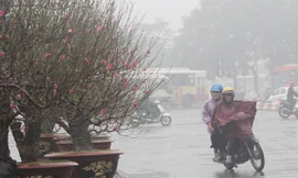 Miền Bắc chuyển rét đậm kèm mưa