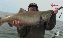 Cần thủ Mỹ câu được cá hồi vua to như quái vật