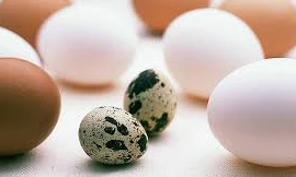 Cách kéo dài tuổi thọ đơn giản nhờ ăn trứng