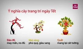 Sự thật thú vị ít ai biết về Tết Nguyên đán