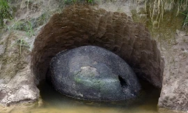 Bắt gặp trứng khủng long thời tiền sử nặng tới 2 tấn ngay trên ruộng