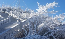 Băng tuyết phủ trắng đỉnh Fansipan giữa tháng 4