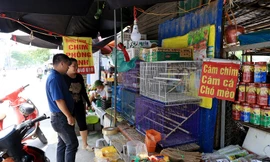 Phố bày bán chim phóng sinh ở Hà Nội nhộn nhịp 'tháng cô hồn'