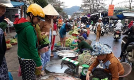 Đà Nẵng: Chợ nhộn nhịp ngày mùng 3 Tết