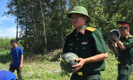 Nghỉ lễ, bộ đội ra ruộng dưa giúp dân