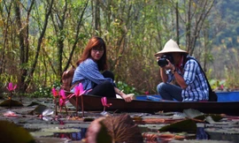 Dân Thủ đô đổ về chùa Hương ‘săn’ hoa súng