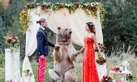 Cặp đôi Nga chụp ảnh cưới cùng... gấu nâu khổng lồ