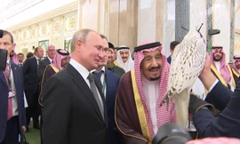 Tổng thống Putin giới thiệu với Nhà vua Salman về chim ưng Kamchatka. Ảnh: Tass
