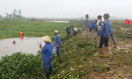 Tuổi trẻ Nghệ An “đội mưa” nạo vét kênh mương sau lũ