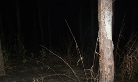 Hiện trường nơi phát hiện thi thể nạn nhân. Ảnh: congankontum.gov.vn