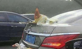 Gà, vịt treo lủng lẳng cốp sau xế hộp về quê ăn Tết