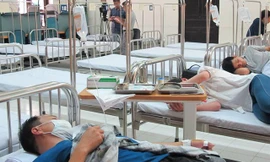 TPHCM: Số ca mắc sốt xuất huyết có dấu hiệu chững lại