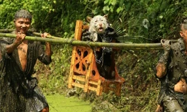 Lạ lẫm lễ hội người rước chó ngồi kiệu như ông hoàng