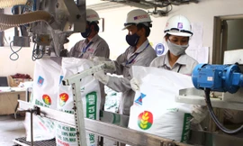 Tổng kiểm tra, xử lý vi phạm trong sản xuất gia công phân bón