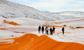 Mỹ ‘đóng băng’, Úc nóng kinh hoàng, sa mạc Sahara có tuyết