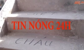 Tin nóng 24H: Tìm thấy viên ngọc quý trong con ốc biển