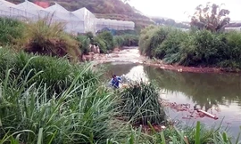 Khu vực hai thanh niên bị điện giật tử vong. Ảnh: Khánh Hương.