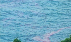 TT-Huế xuất hiện dải nước màu đỏ bất thường ở ven biển