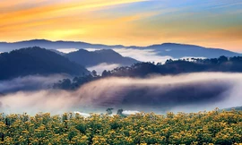 Ảnh Đà Lạt huyền ảo trong sương khiến vạn người mê