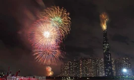 Ảnh minh họa. (Nguồn: TTXVN)