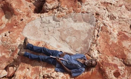 Dấu chân khủng long vừa được phát hiện có chiều dài gần 2m.