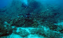 Tìm thấy 22 xác tàu trăm, ngàn tuổi trong 2 tuần 