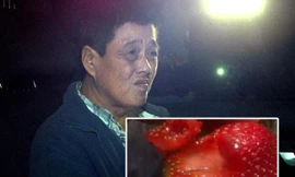 Người phụ nữ gốc Việt cắm kim vào dâu tây ở Úc nghi vì thù sếp