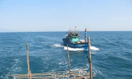 Ngư dân miền Trung đánh bắt từ biển Đông trở về Đà Nẵng (ảnh minh họa)