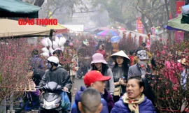 Có tuổi đời hơn 100 năm, chợ hoa Hàng Lược vừa mang vẻ đẹp của thời gian và giá trị hiện vật tinh tế