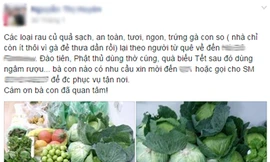 Chợ đặc sản quê online 'săn' dân chung cư