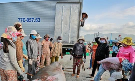 Nỗi niềm làng săn cá mập lâu đời nhất ở miền Trung