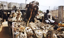 Bên trong khu chợ phép thuật, 'bùa chú' lớn nhất thế giới