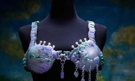 Nhìn gần chiếc áo lót làm từ 223 viên đá quý