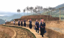 Hàng ngàn người lên núi chiêm ngưỡng 'Mây pha lê'