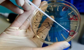 Ảnh minh hoạ: Reuters