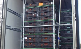 Thùng container chứa đầy cam cùng 8 người nghi nhập cư trái phép. Ảnh: Daily Mail