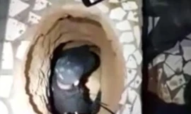 Cảnh sát kiểm tra đường hầm của Judson. Ảnh: Cắt từ video