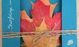 Trai trẻ kiếm bộn tiền nhờ bán… lá vàng rơi