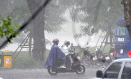 Ảnh: Mạnh Thắng