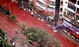 Bangladesh: Đường phố ngập trong máu sau lễ hội hiến tế động vật