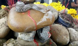 Người dân tụ tập cúng bái mê tín dị đoan bên ngôi mộ vô danh sau khi xuất hiện cặp rắn nước