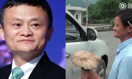 Bản sao tỉ phú Jack Ma đứng giữa đường bán nấm dại