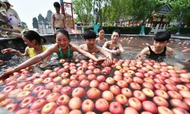 Trung Quốc tung dịch vụ tắm suối nước nóng với trái cây tươi