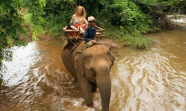 Voi chở khách du lịch đi thăm thác Bousra - nơi xảy ra sự cố voi giẫm chết chủ.