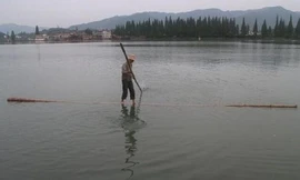 Fang chia sẻ rằng thân tre cần dài hơn 4 m để có thể nổi được trên mặt nước khi ông đứng lên. Để điều khiển 'con thuyền', Fang tận dụng sức gió và lực đẩy của dòng chảy. Tốc độ trung bình của chiếc thuyền ước đạt 30 - 40m/phút.